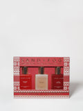 Discovery Perfume Oil Rollerball Set - Christmas Sweater Collection