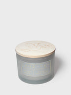 Winter White 12 oz scented candle