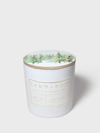 Winter Pine 21 oz scented candle