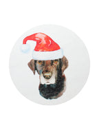Sand + Paws Balsam & Cedar 12 oz scented candle