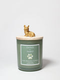 Sand + Paws Sun Washed Citrus 10 oz scented candle