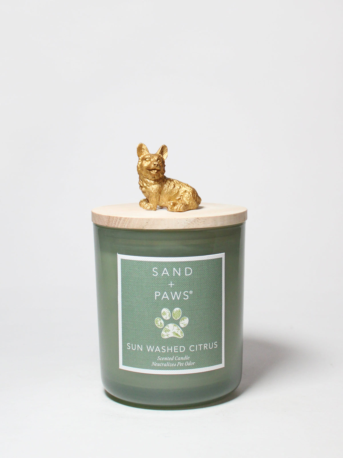 Sand + Paws Sun Washed Citrus 10 oz scented candle