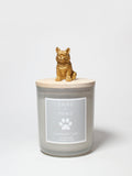 Sand + Paws Laundry Day 10 oz scented candle