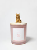 Sand + Paws Tarocco Orange 10 oz scented candle