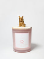 Sand + Paws Tarocco Orange 10 oz scented candle
