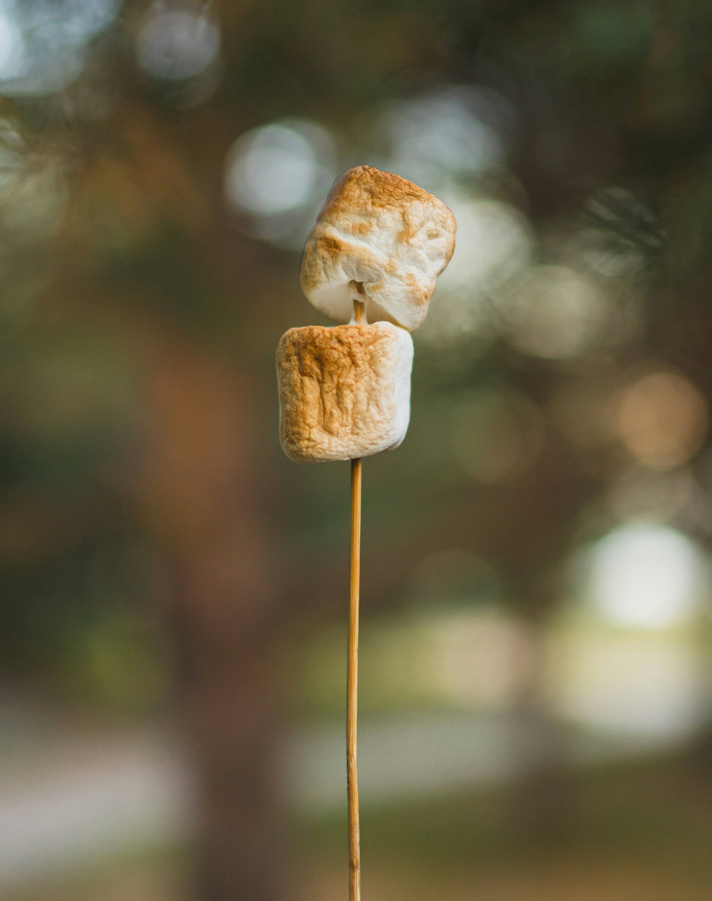 Perfume Oil Rollerball and Perfume Dropper Set - Toasted Marshmallow