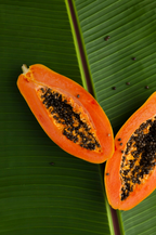 Island Papaya 12 oz scented candle