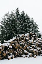 Fir & Firewood 21oz scented candle