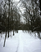 Forest Trail 12 oz scented candle