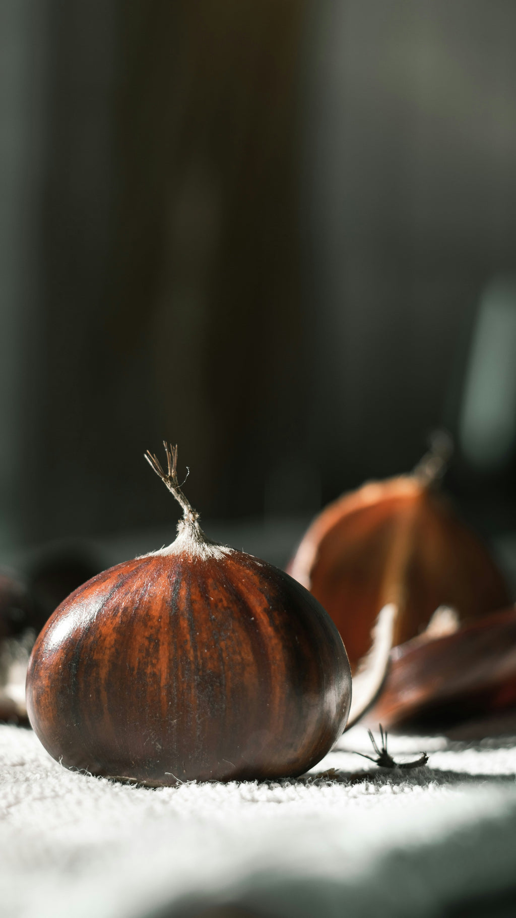 Roasted Chestnut 12 oz scented candle